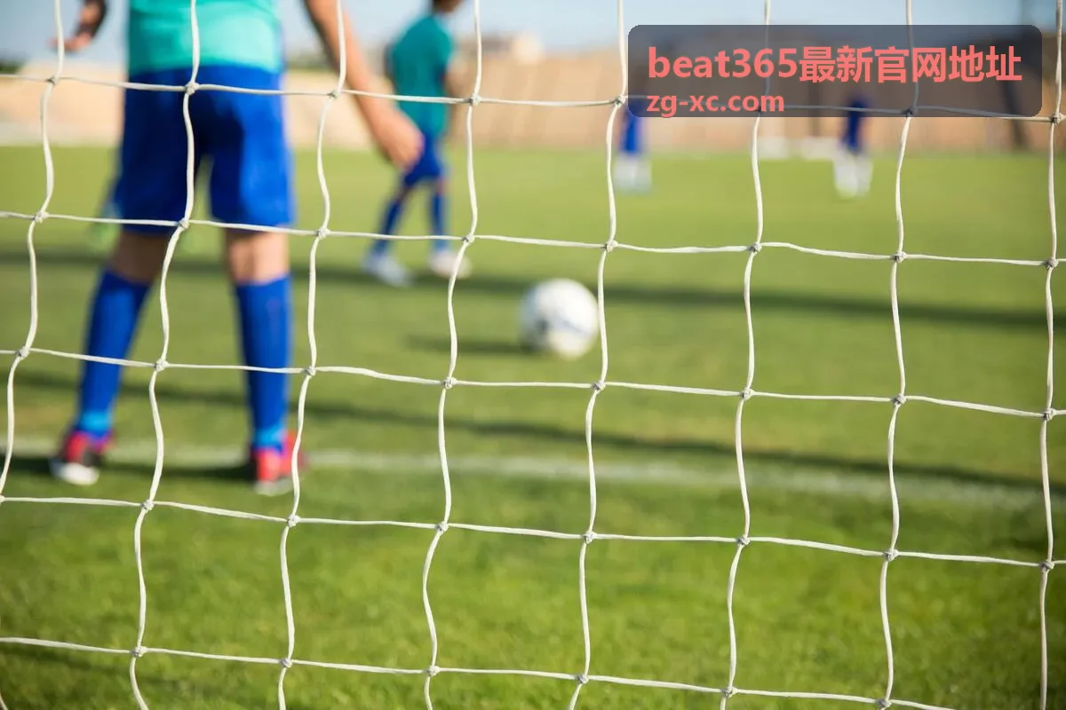 beat365官网维护记录说明图